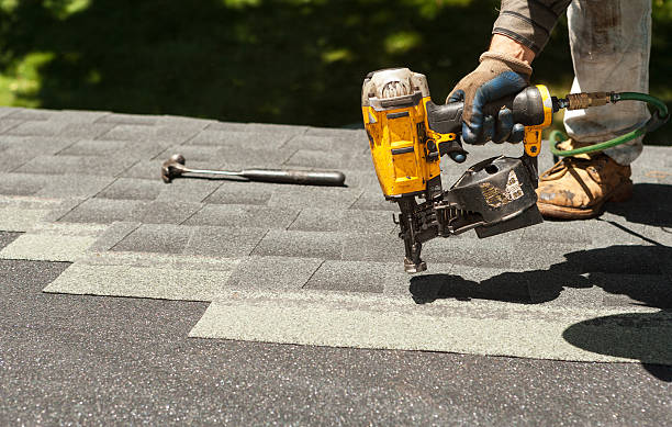 Best Roof Moss and Algae Removal  in Miami Shores, FL