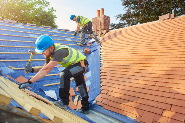 Best Metal Roofing Installation  in Miami Shores, FL